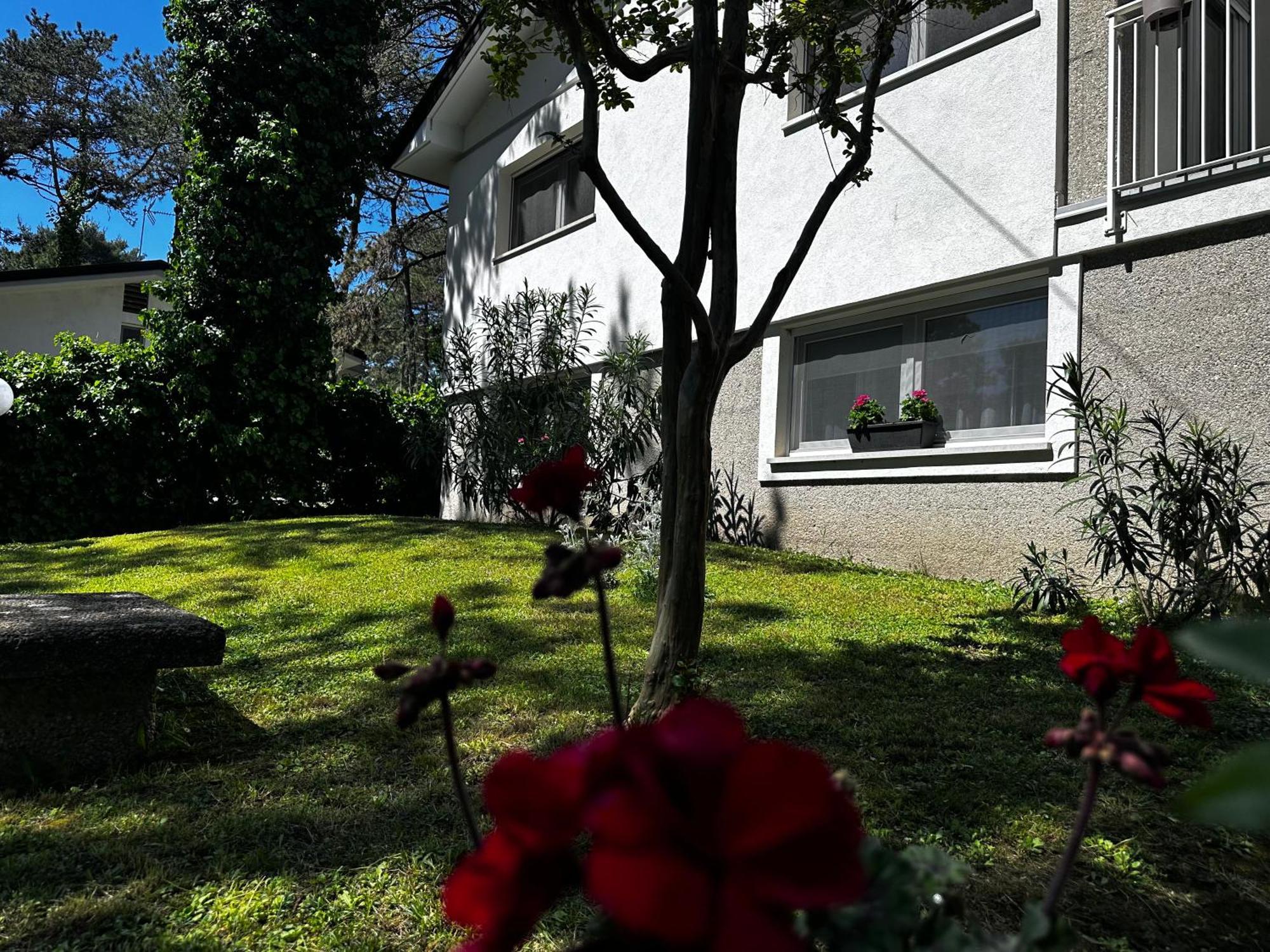 Villa Greif Pineta Lignano Sabbiadoro Exterior foto